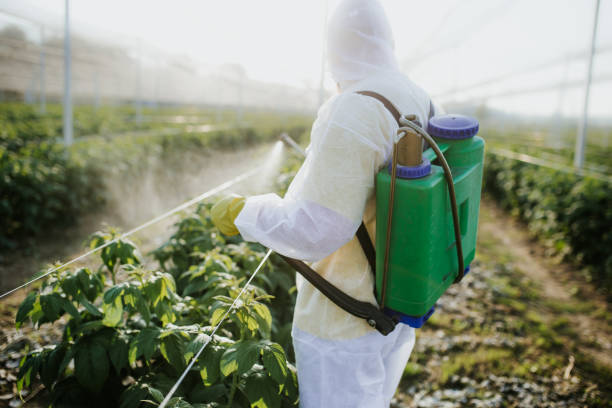 Best Commercial Pest Control Services  in Northport, AL